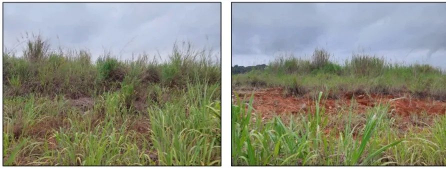 Venta de Terreno en Green Valley  Corregimiento de Pedregal