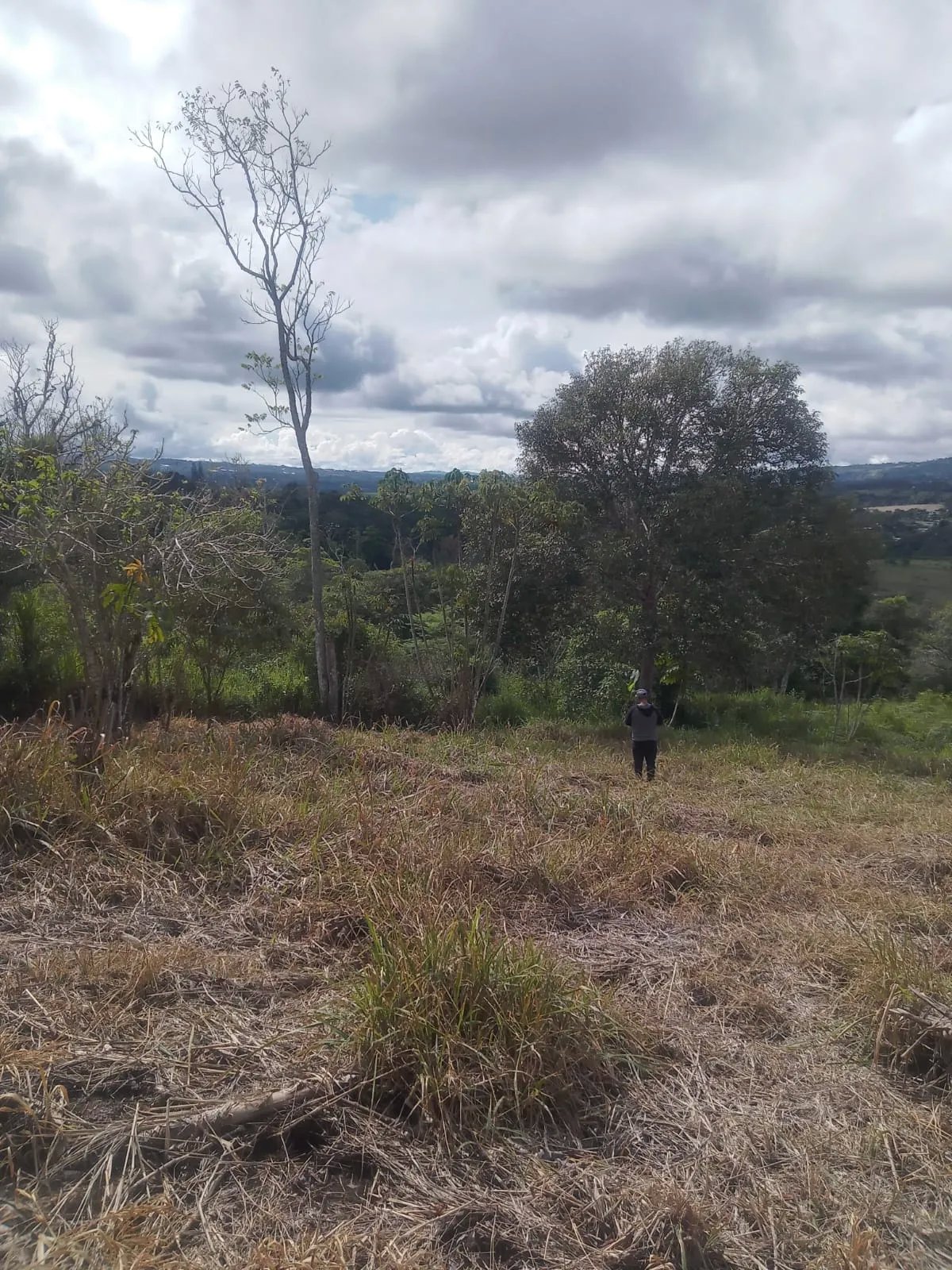 Venta de finca de cafe y platano en Rio Sereno