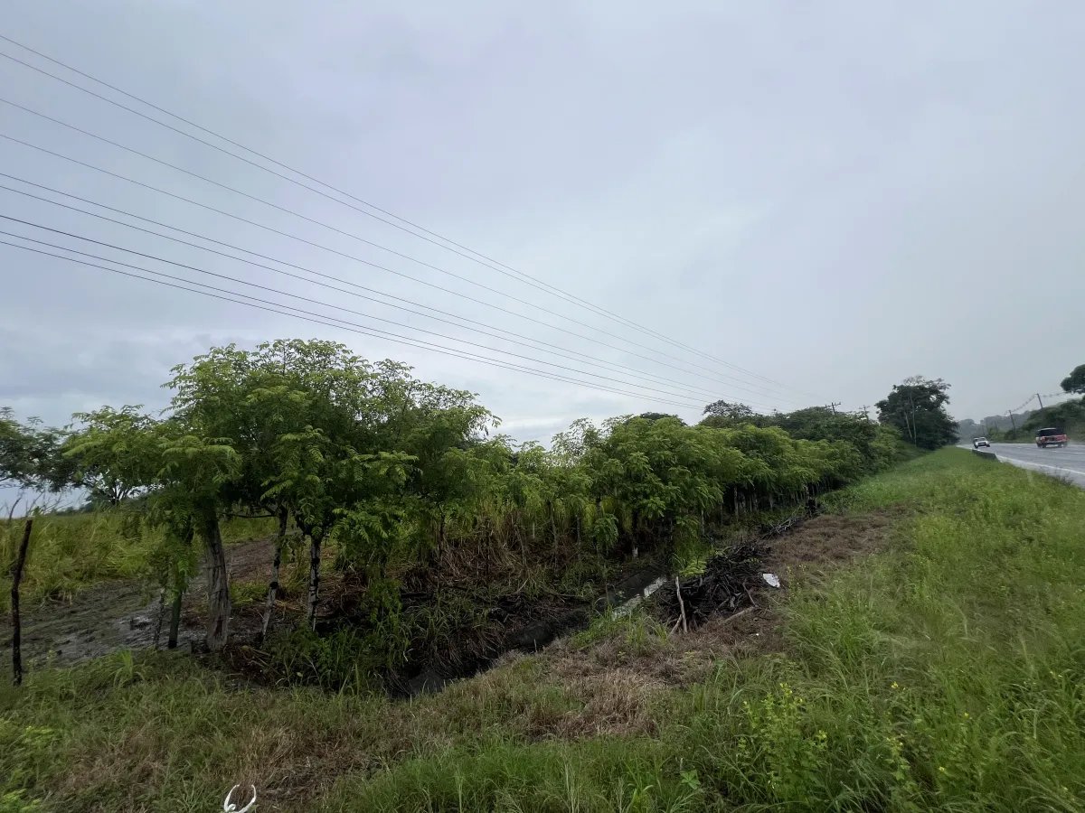 Venta de finca en Río Salado, Los Santos