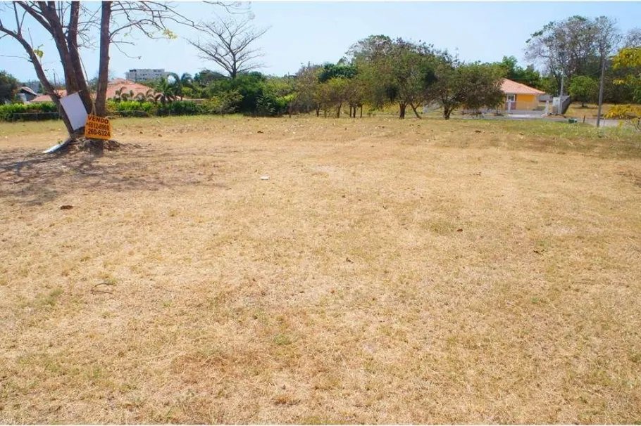Terreno en venta en Las Palmeras Golf, Coronado