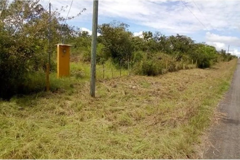 Land For Sale in Vía a Calobre