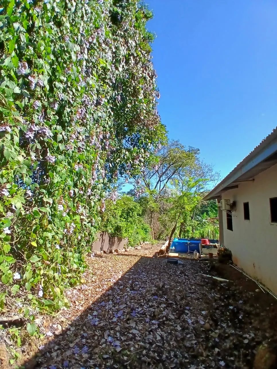 Spacious house on idyllic property