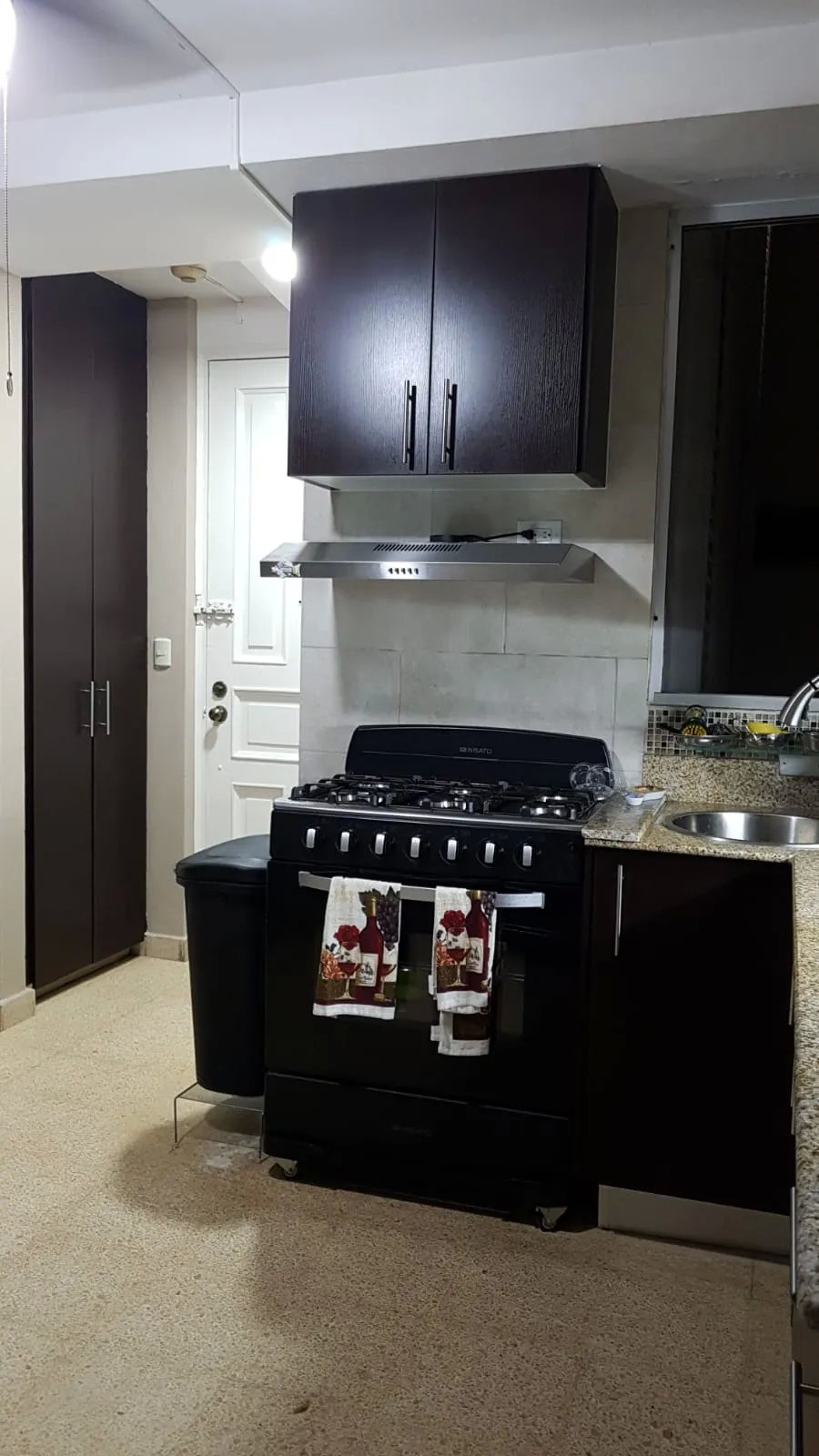 Apartment For Sale in Paitilla