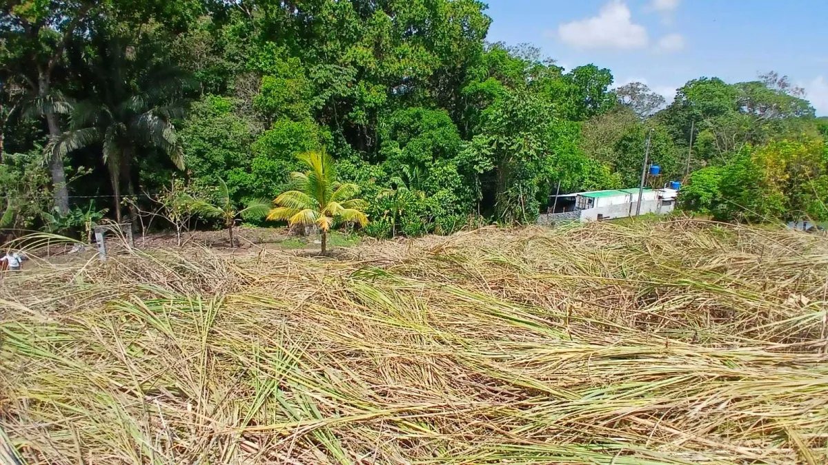 Venta de lote de terreno en Chilibre.
