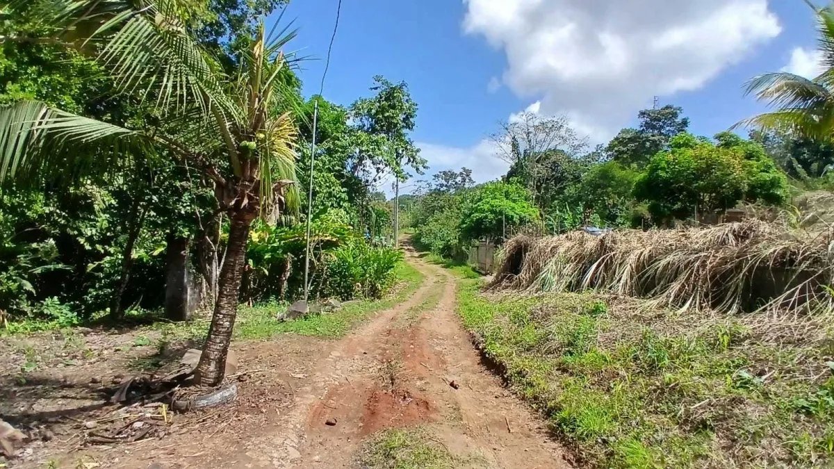 Venta de lote de terreno en Chilibre.