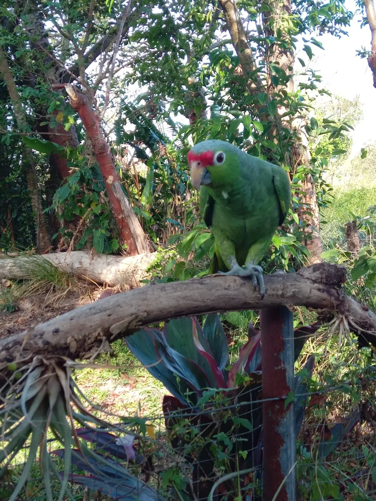 Vacation Home For Sale in Vía a Cochea