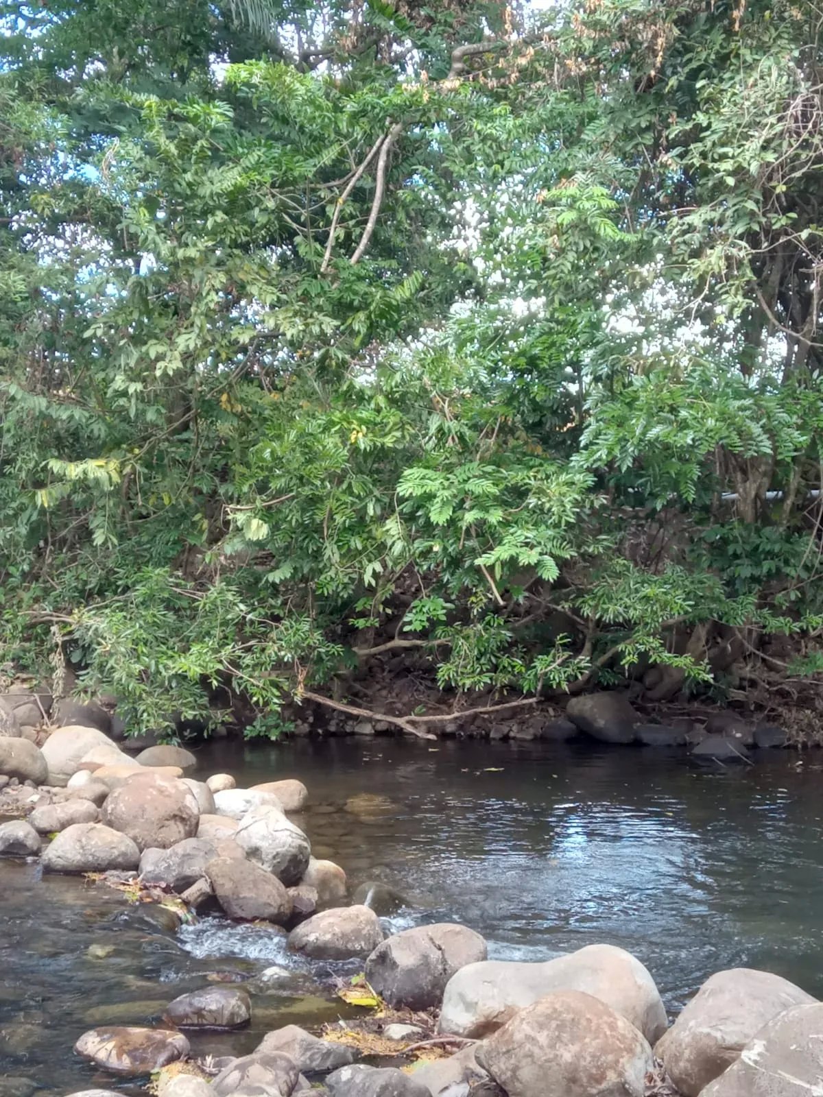 Vacation Home For Sale in Vía a Cochea