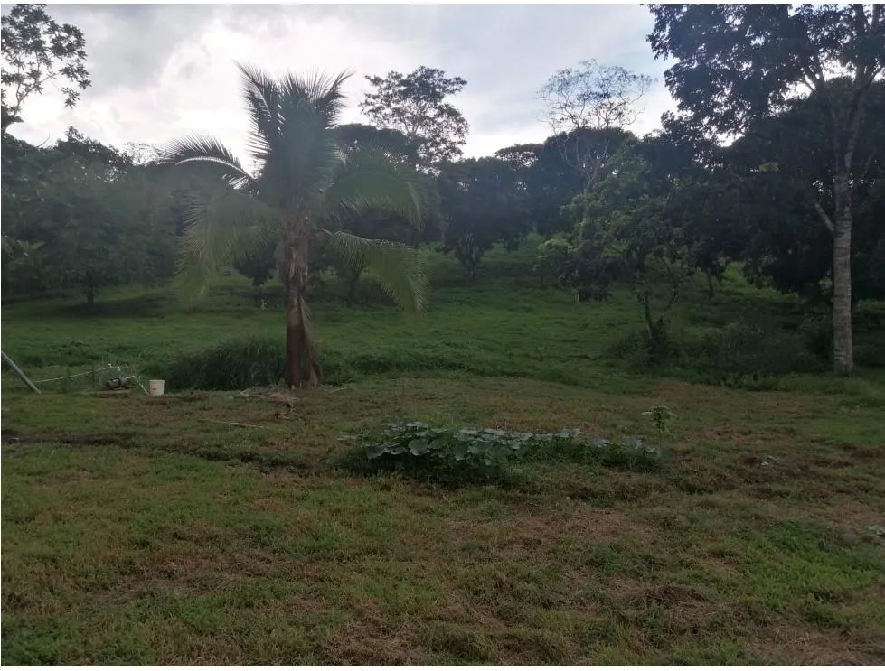 VENTA DE TERRENO CON CASA EN CHILIBRE, OPORTUNIDAD