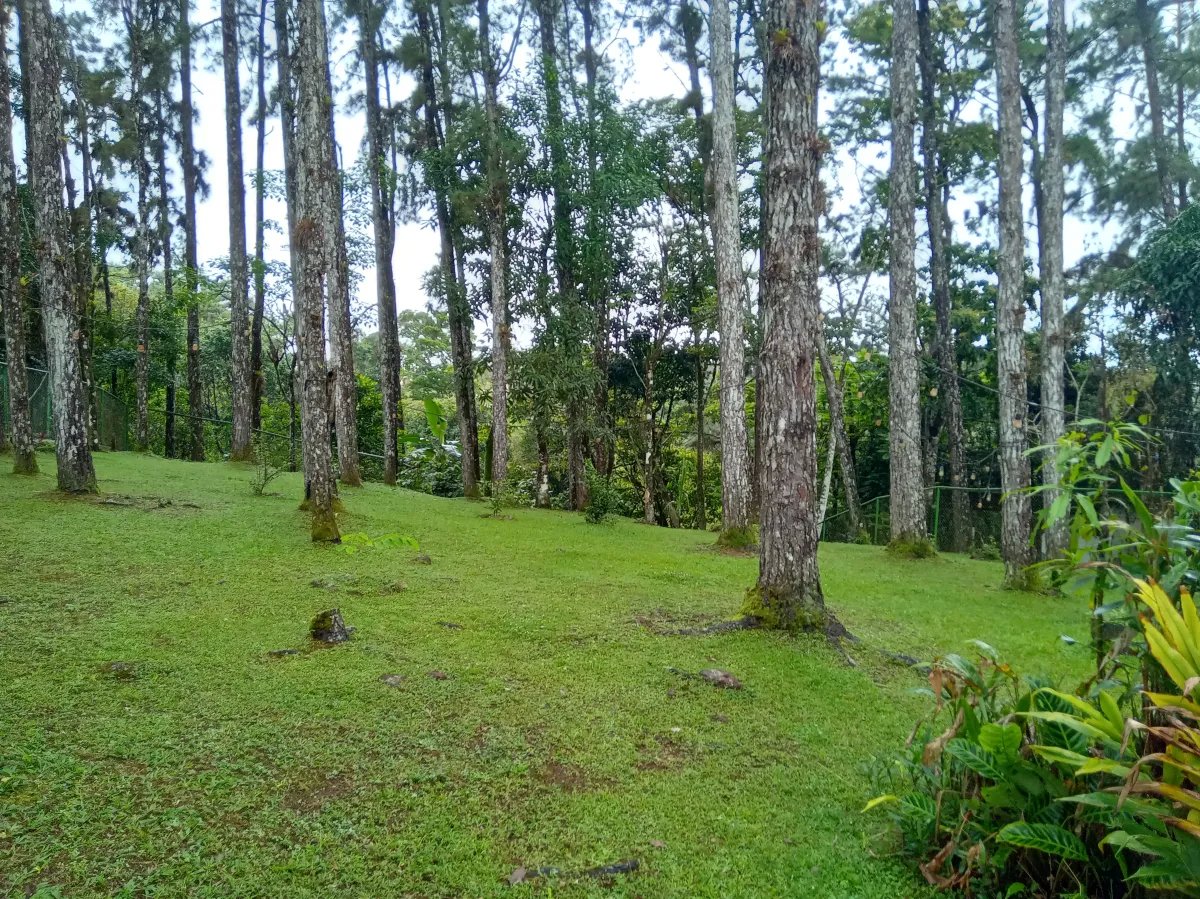 ALTOS DE CERRO AZUL CASA EN ALQUILER