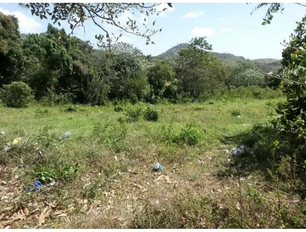 TERRENO / CAPIRA / CERMEÑO / 5200 M2 / 2 FINCAS / ARBOLES FRUTALES