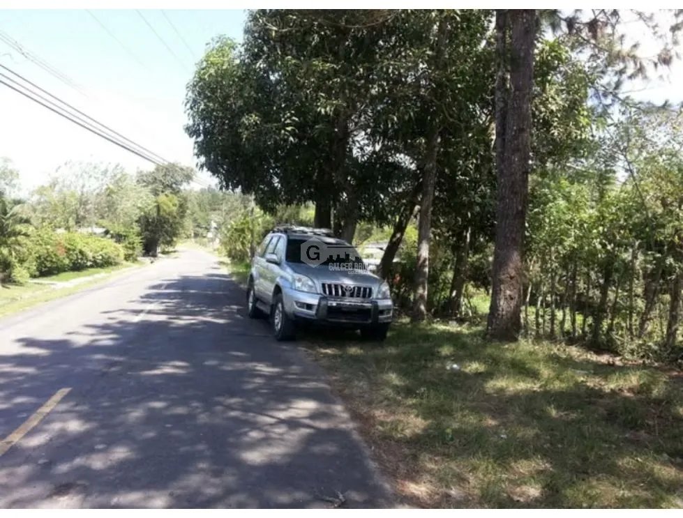 TERRENO / CAPIRA / CERMEÑO / 5200 M2 / 2 FINCAS / ARBOLES FRUTALES