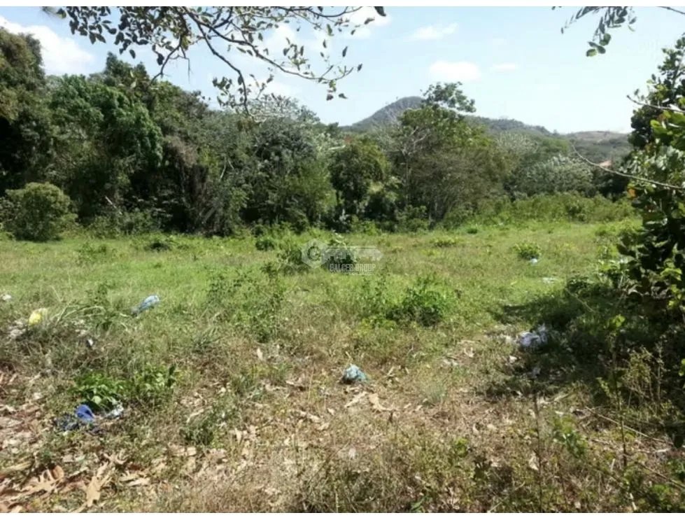 TERRENO / CAPIRA / CERMEÑO / 5200 M2 / 2 FINCAS / ARBOLES FRUTALES
