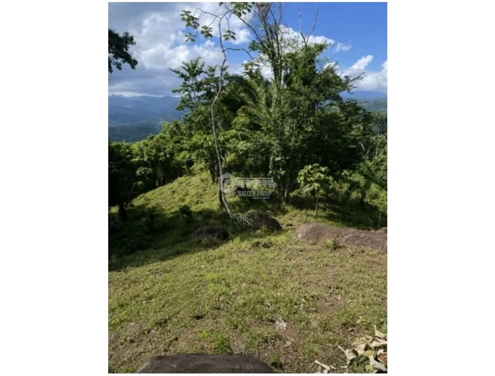 SE VENDE CASA EN CAPIRA EL CACAO 26 HECTAREAS CON PISCINA