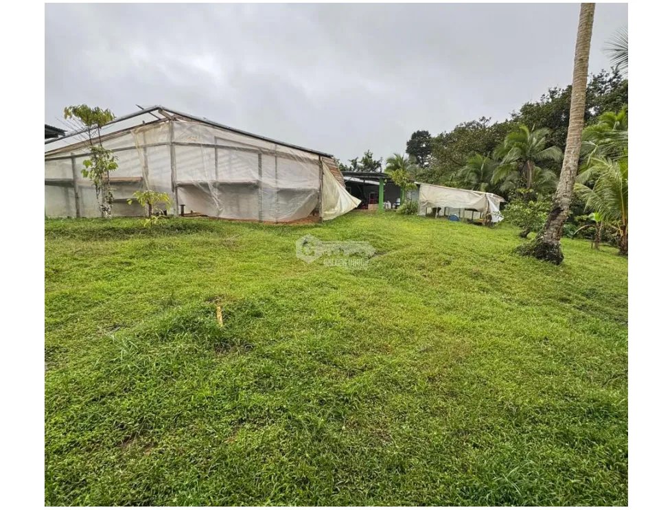 Land/Farm for sale in La Pintada