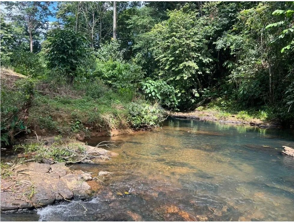 FINCA / COCLE / LA PINTADA / 17 HECTAREAS / FRENTE AL RIO