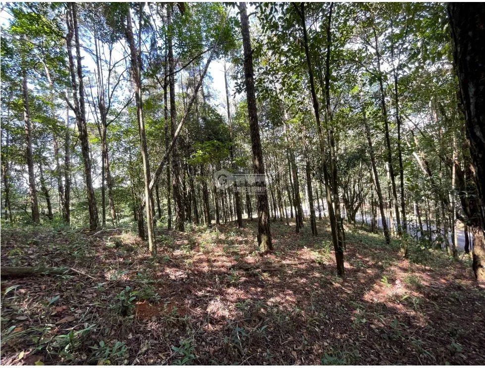 SE VENDE TERRENO EN CERRO AZUL 1301M CON PAISAJISMO Y CLIMA FRIO
