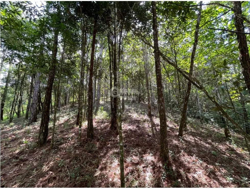 SE VENDE TERRENO EN CERRO AZUL 1301M CON PAISAJISMO Y CLIMA FRIO