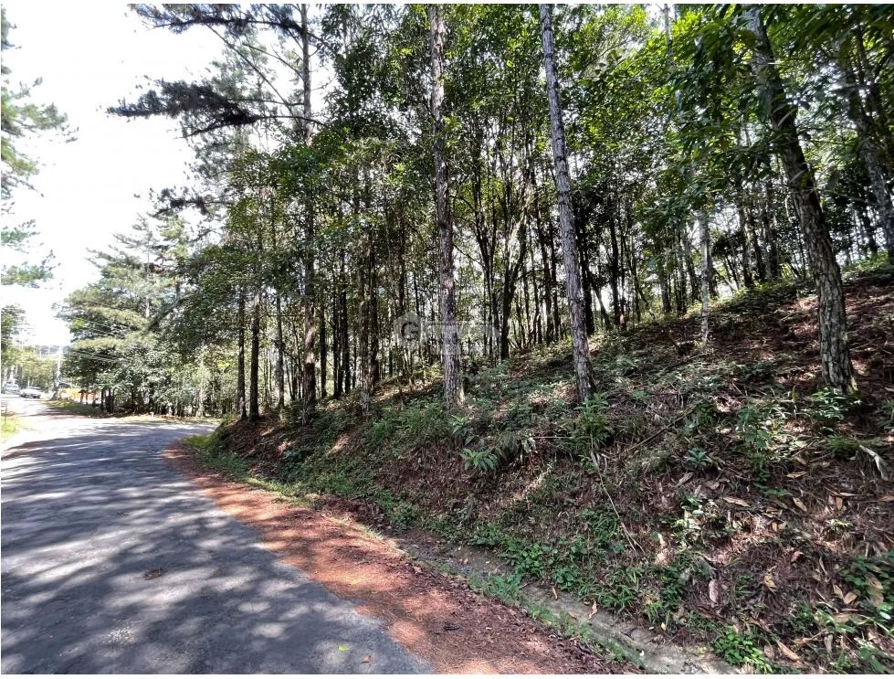 SE VENDE TERRENO EN CERRO AZUL 1301M CON PAISAJISMO Y CLIMA FRIO