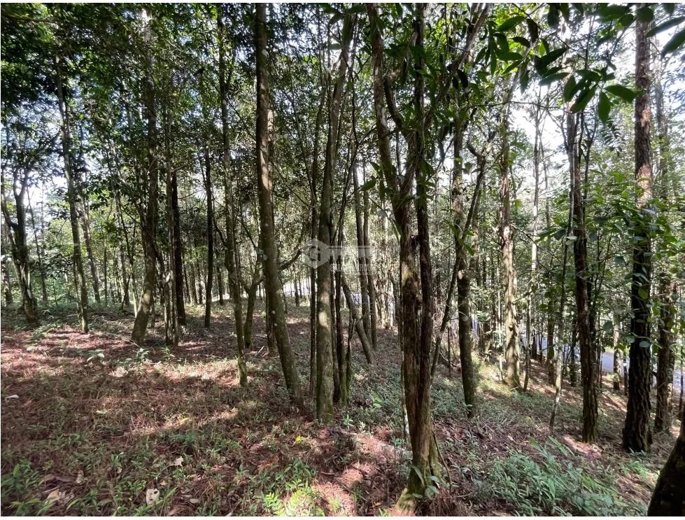 SE VENDE TERRENO EN CERRO AZUL 1301M CON PAISAJISMO Y CLIMA FRIO