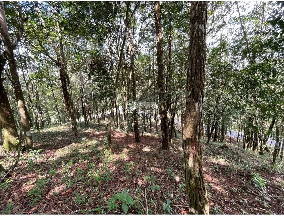 SE VENDE TERRENO EN CERRO AZUL 1301M CON PAISAJISMO Y CLIMA FRIO
