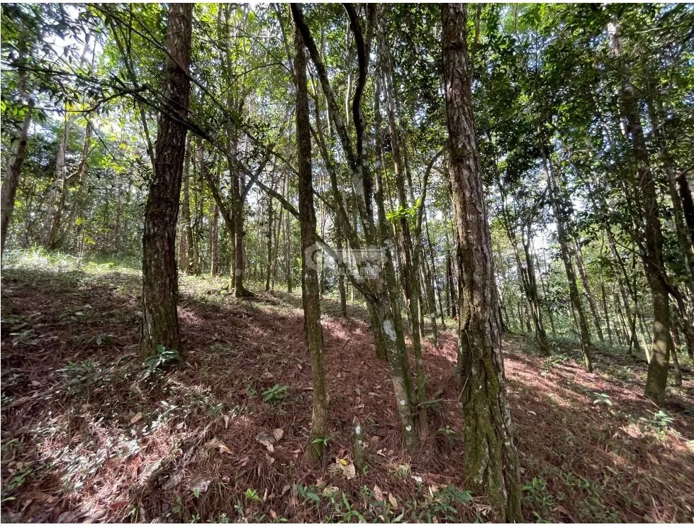 SE VENDE TERRENO EN CERRO AZUL 1301M CON PAISAJISMO Y CLIMA FRIO