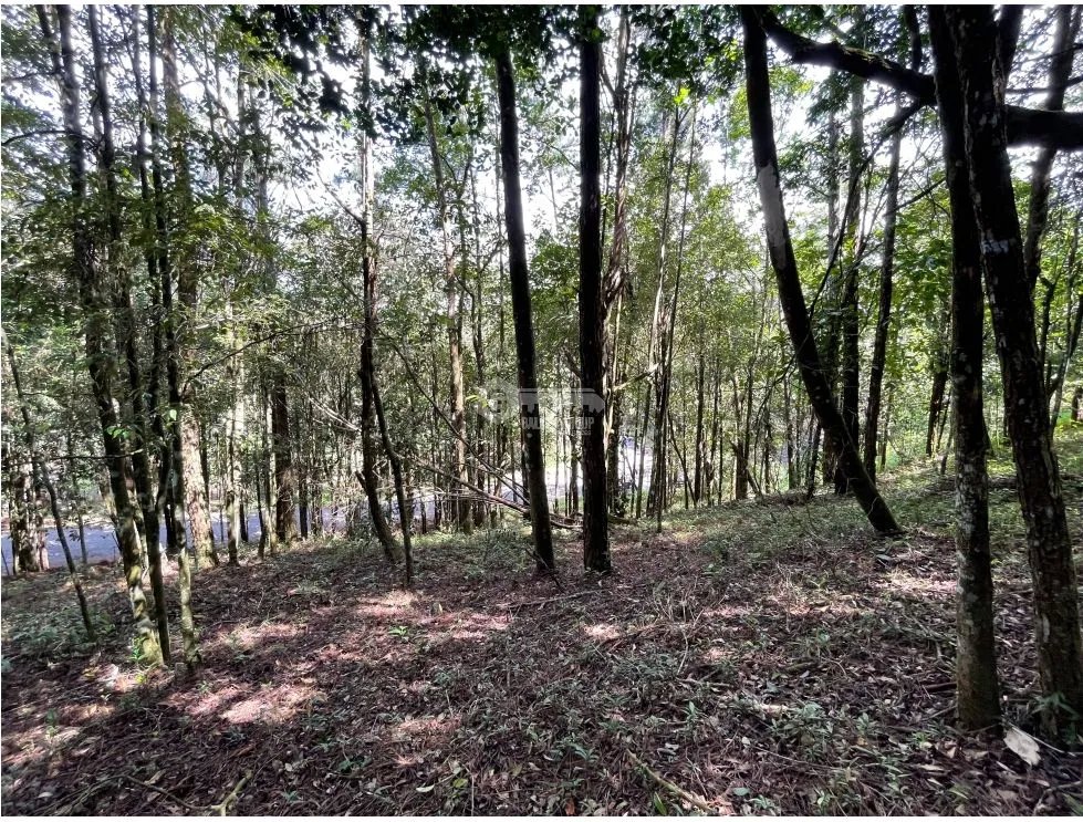 TERRENO / CERRO AZUL / 1301M / CON PAISAJISMO / CLIMA FRIO