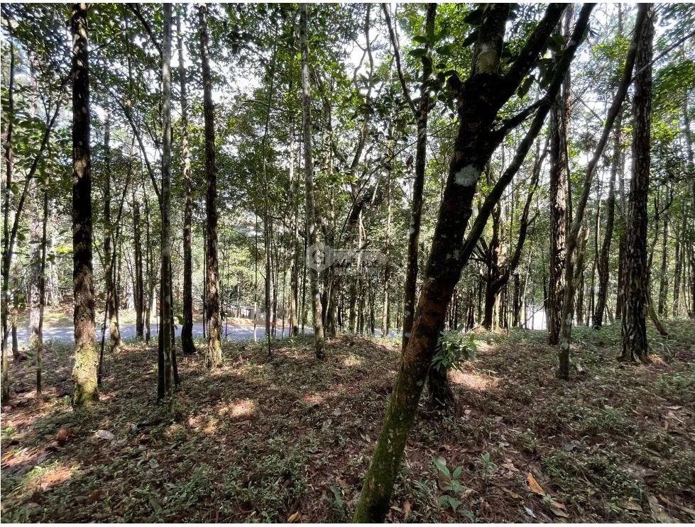 Building Lot for sale in Cerro Azul