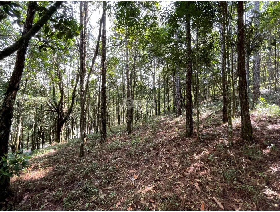 Building Lot for sale in Cerro Azul
