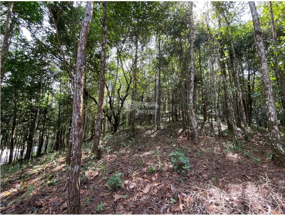 Building Lot for sale in Cerro Azul