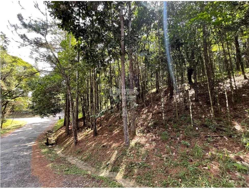 Building Lot for sale in Cerro Azul