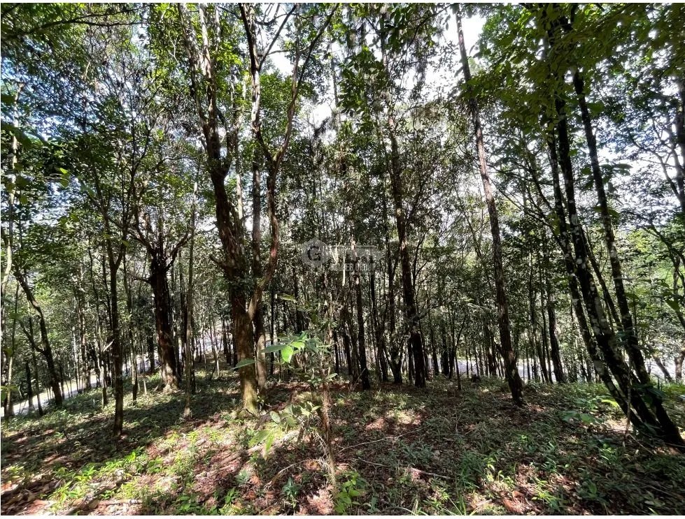 Building Lot for sale in Cerro Azul