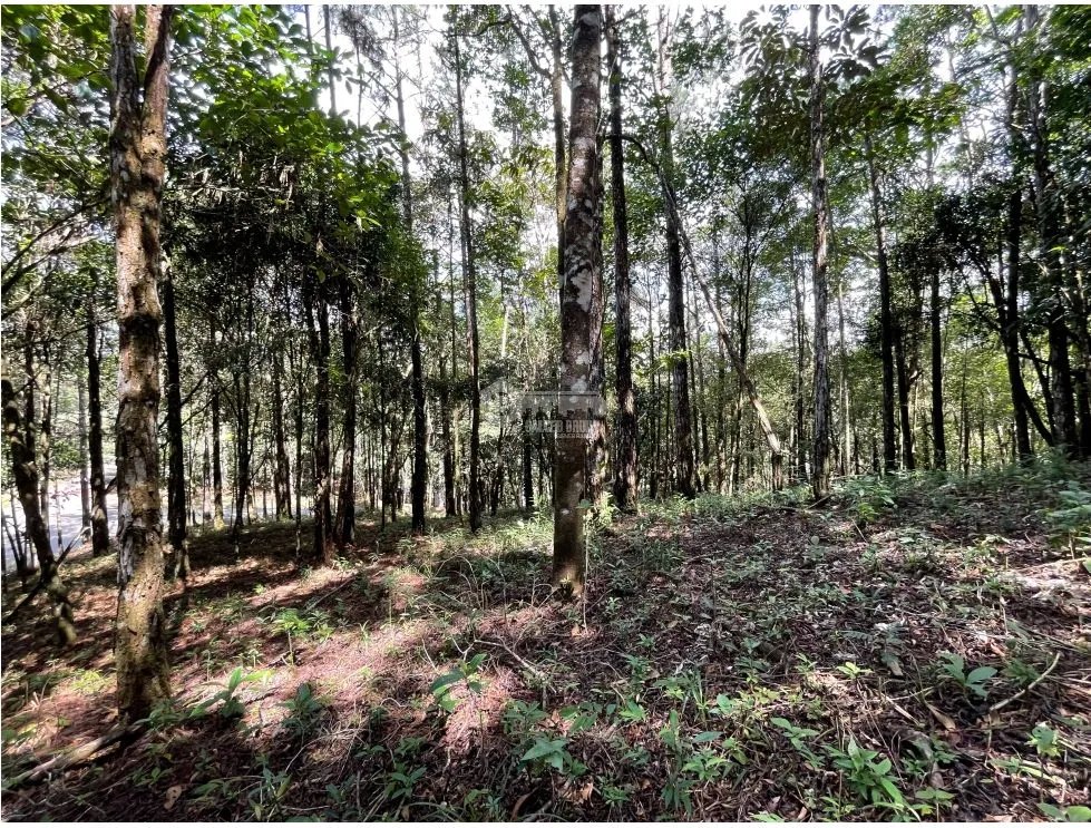 Building Lot for sale in Cerro Azul