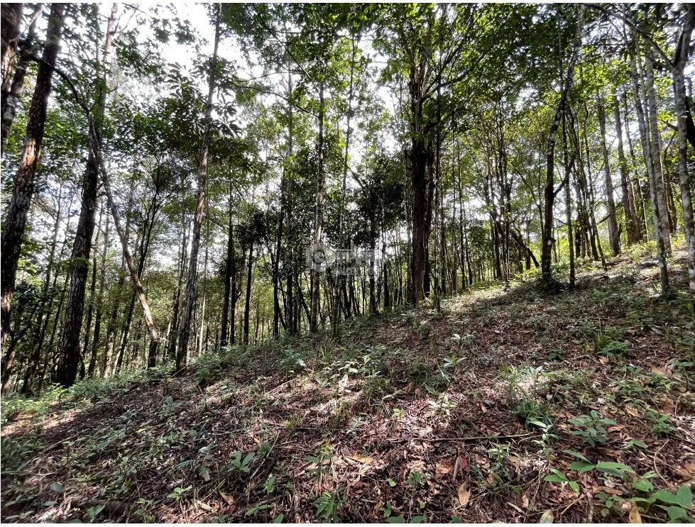 Building Lot for sale in Cerro Azul