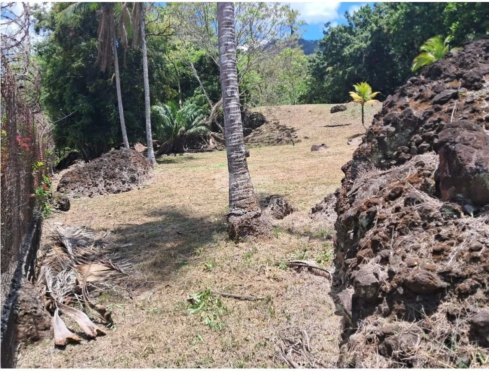 SE VENDE TERRENO EN LAS CUMBRES LAS LAJAS 4000 M2 VIA ASFALTADA