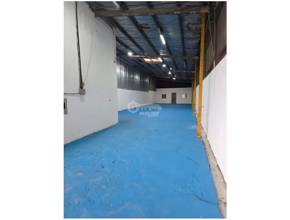 SE ALQUILA GALERA 325 M2 EN JUAN DIAZ PLANTA BAJA