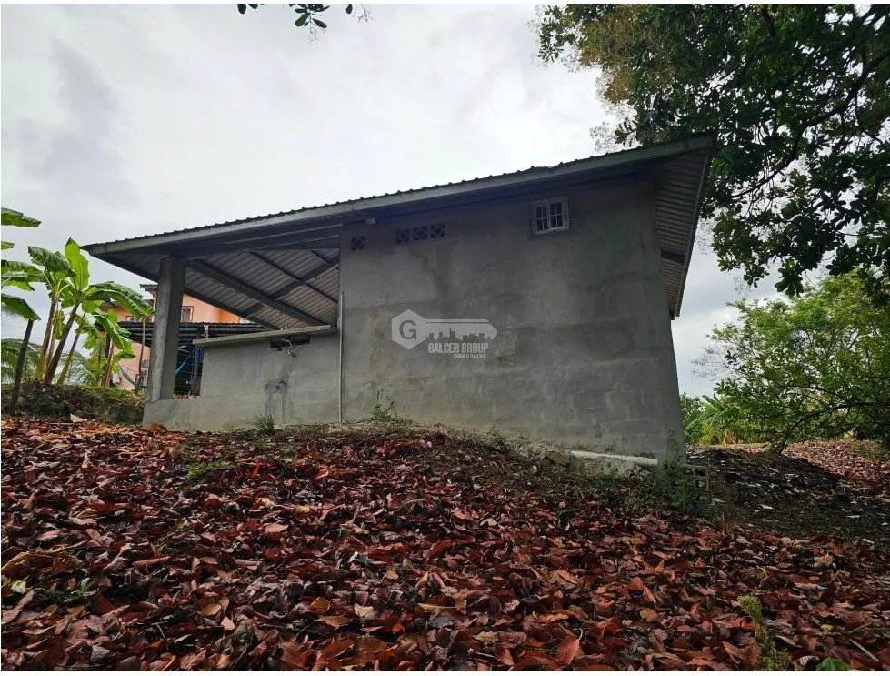 SE VENDE TERRENO EN  SAN CARLOS 771 M2 CON ARBOLES FRUTALES