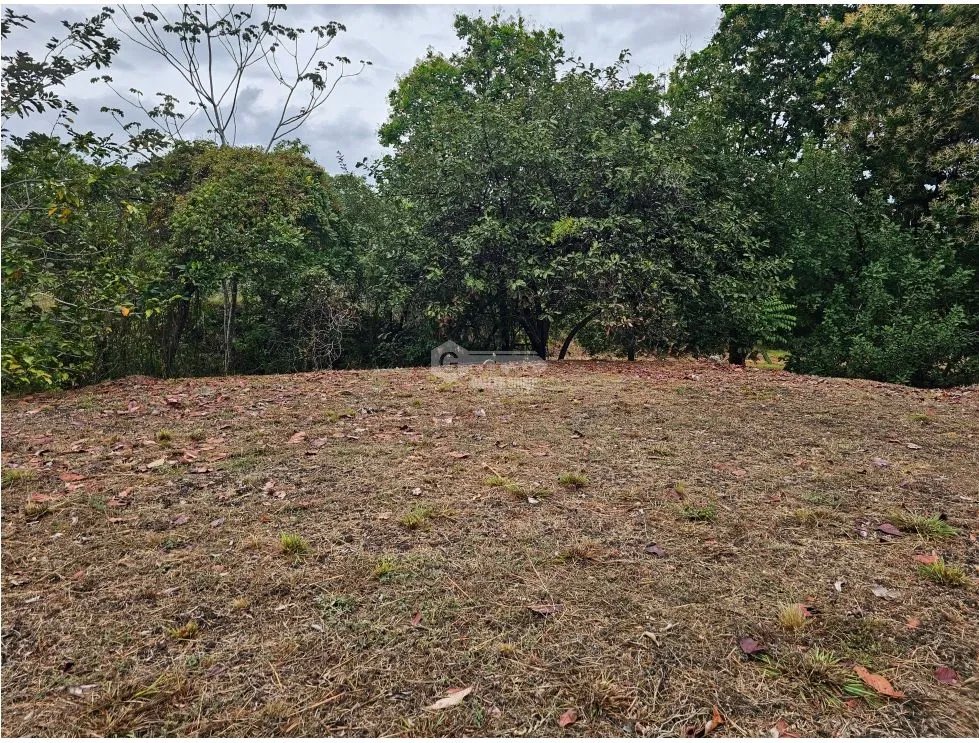 SE VENDE TERRENO EN  SAN CARLOS 771 M2 CON ARBOLES FRUTALES