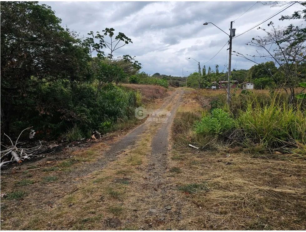 SE VENDE TERRENO EN  SAN CARLOS 771 M2 CON ARBOLES FRUTALES
