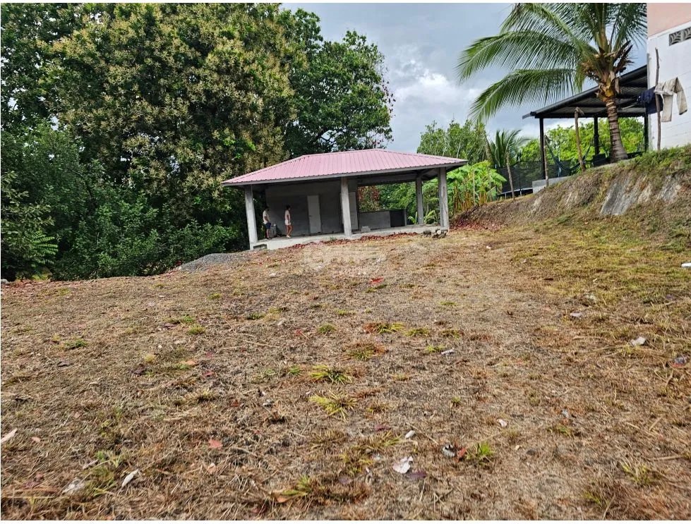 TERRENO / SAN CARLOS / SAN JOSE / 771 M2 / ARBOLES FRUTALES / BOHIO