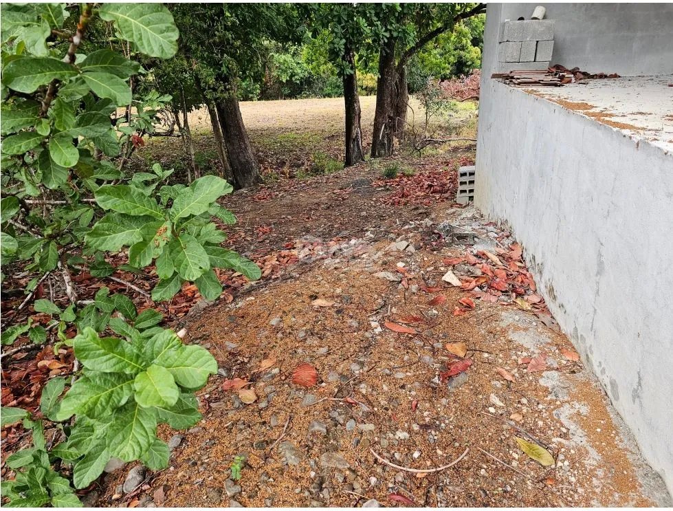 TERRENO / SAN CARLOS / SAN JOSE / 771 M2 / ARBOLES FRUTALES / BOHIO