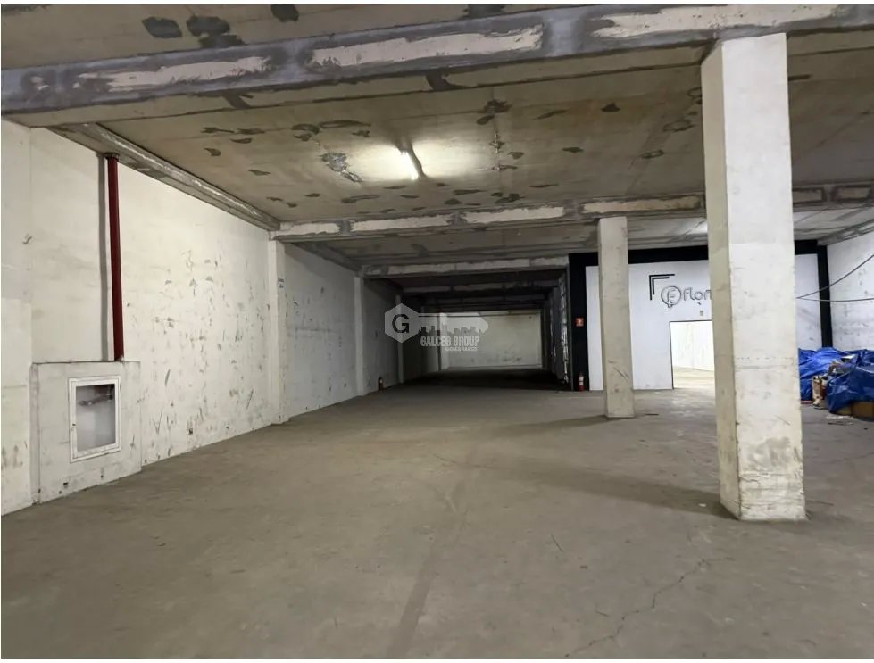 Warehouse for sale in Zona Libre