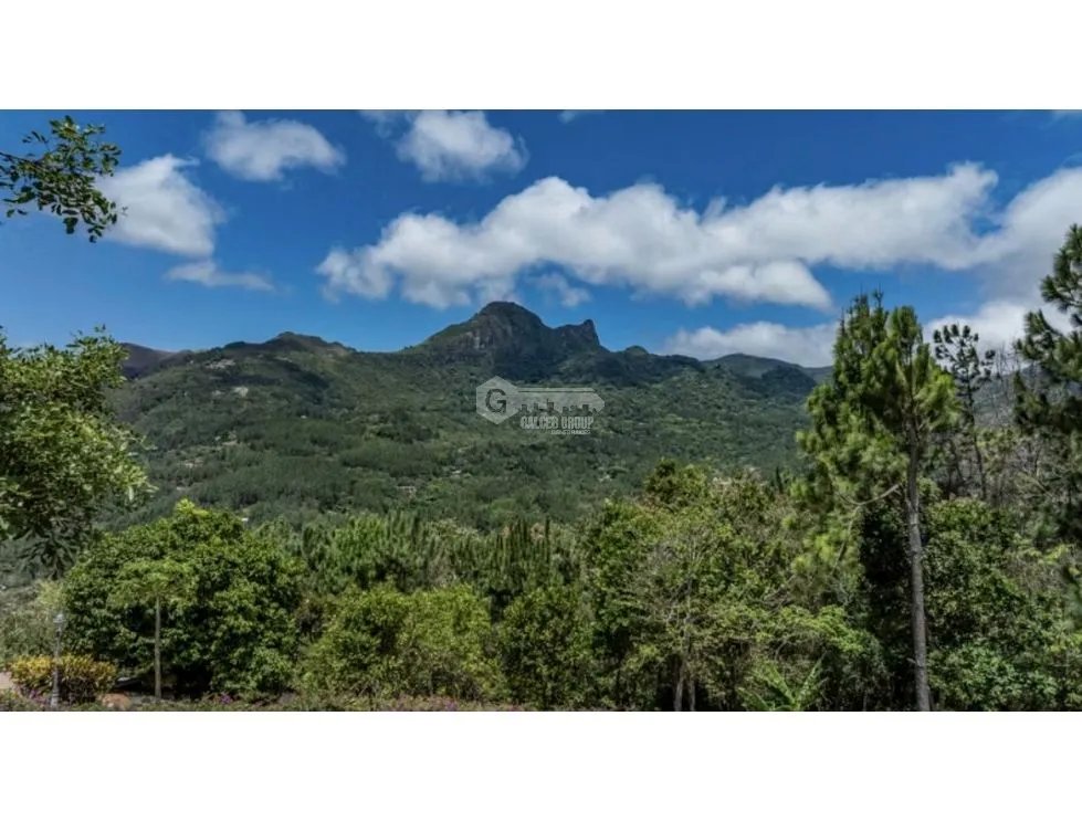 SE VENDE TERRENO EN  CHAME ALTOS DE MARIA 2607 M2 A MINUTOS DE CASCADA
