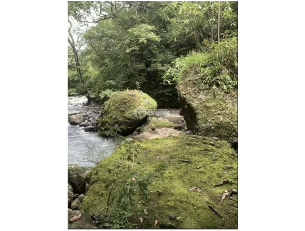TERRENO / CHAME / ALTOS DE MARIA / 2607 M2 / A MINUTOS DE CASCADA
