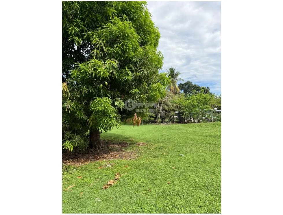 TERRENO / CHAME / LAS LAJAS / 1286 M2 / CERCA DE LA PLAYA