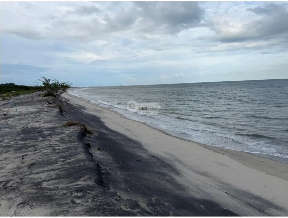 TERRENO / GORGONA / PLAYA MALIBÚ / 1200 M / FRENTE AL MAR