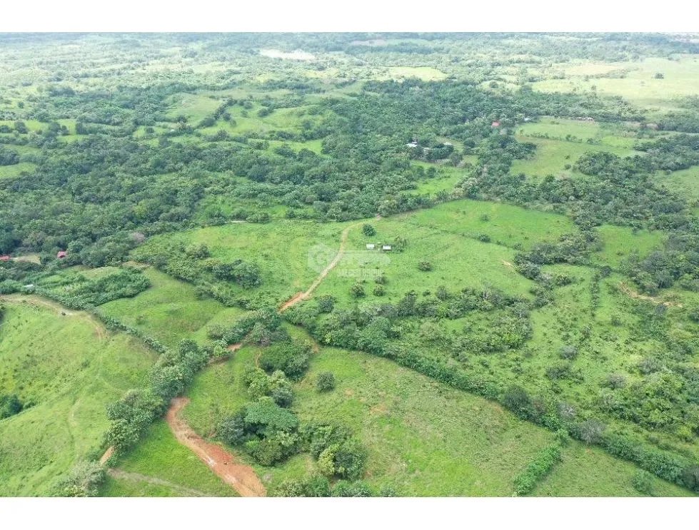 Land/Farm for sale in Chepo