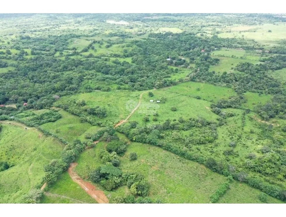 TERRENO / CHEPO / TANARA / 25 HECTÁREAS / FINCA / VISTAS AL RIO