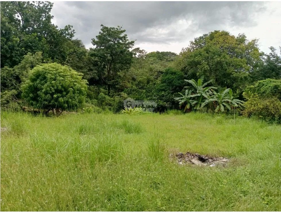 TERRENO / CHAME / 3200 M2 / LOTE PLANO / VÍA ASFALTADA