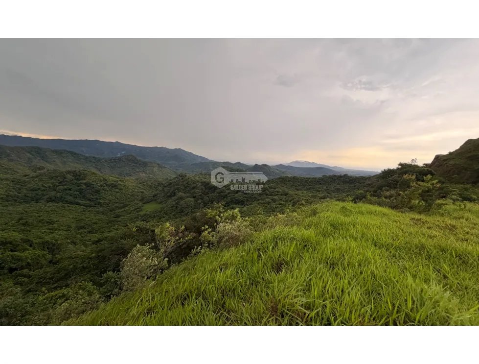 TERRENO / CHAME / SORÁ / 21 HECTAREAS / HERMOSA VISTA AL MAR / AMPLIO