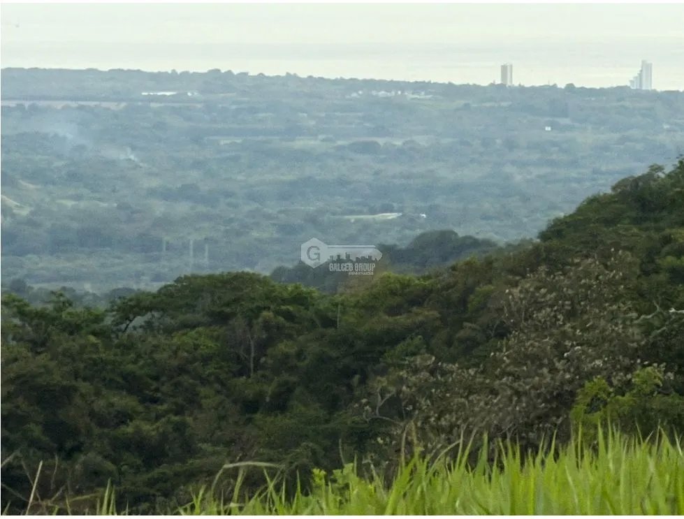 TERRENO / CHAME / SORÁ / 21 HECTAREAS / HERMOSA VISTA AL MAR / AMPLIO